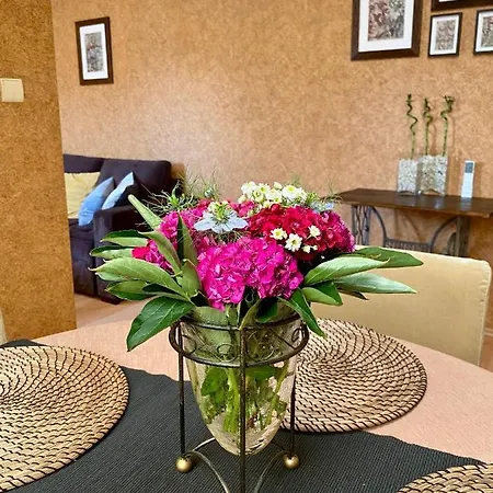 Dekoratoria Apartmán *